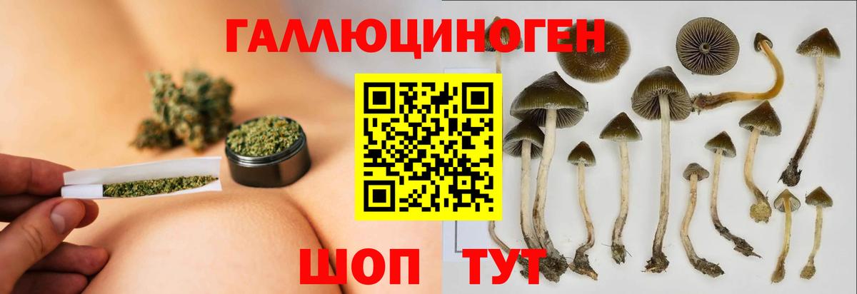 Лобня  Галлюциногенные грибы мицелий  Вход с VPN 